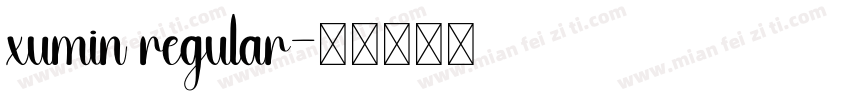 xumin regular字体转换